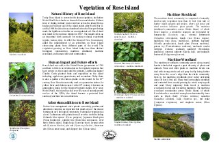 Vegetation of Rose Island
