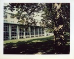 Windows of O'Hare Academic Center by Joseph Souza