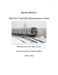 Shelter-Skelter: The New York City Homelessness Crisis by Brian J. Koluch