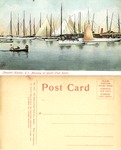 Newport Harbor, R. I. Morning of Yacht Club Races by Metropolitan News Co.