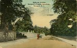 Bellevue Avenue, Newport's Popular Driveway, Newport, R. I. by Tichnor Bros., Inc.